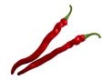 Leguma ardei iute decorativ rosu 28cm 8732