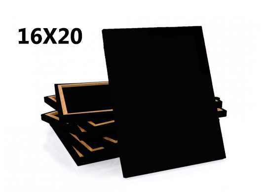 Sasiu cu pinza (neagra) 16*20 2*3.3 16*20N