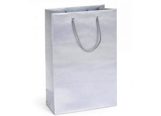 Punga hirtie laminata 22*10*29, Silver SH56054