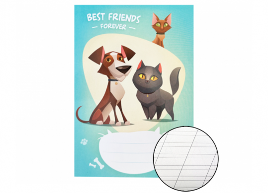 Caiet 24foi Euro/dictando (linie oblica) PR2404