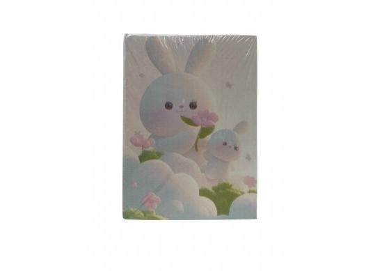 Album foto 100 poze 10*15cm Cute 024841