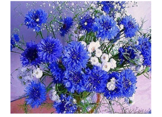 Tablou cu DIAMANTE 30x40 Crizanteme albastre (fara sasiu) GLD62794