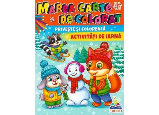 Carte priveste si coloreaza IARNA CN64668xx