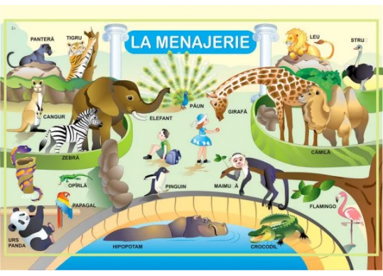 Plansa.In menagerie+La polul Nord 70x100cm EP5