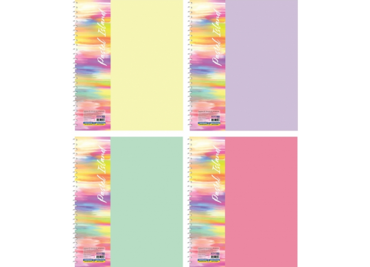 Carnet B5 60foi spira laterala-coperta plastic color E20315