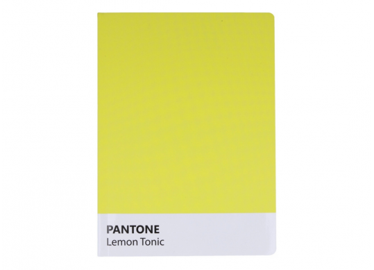 Carnet A5 80foi Pantone (coperta moale) O20371-10