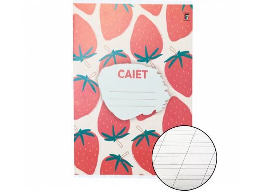 Caiet 24foi LUX dictando carton (linie oblica) C001404