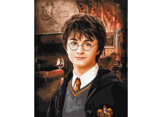 Tablou 40*50/cifre Harry Potter: Camera comună a Cercetașilor KHO8708