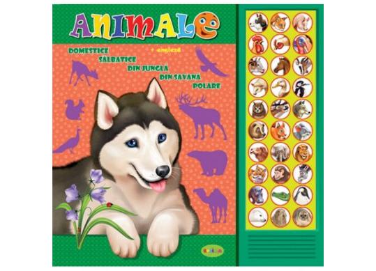 Carte cu sunete A4 Animale+Engleza(P.D.) PD0768