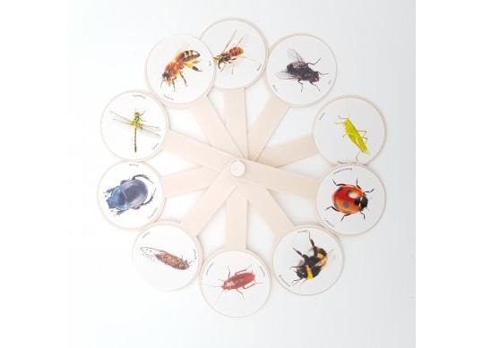 Evantai Insecte set KIS