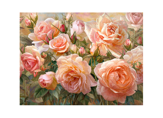 Tablou cu DIAMANTE 30x40 Buchet de trandafiri (fara sasiu) GLD63212