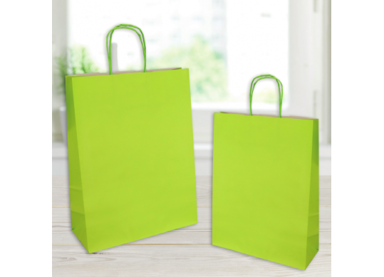 Punga hirtie 25*11*36,green 110gr,minere rasucite SH31154