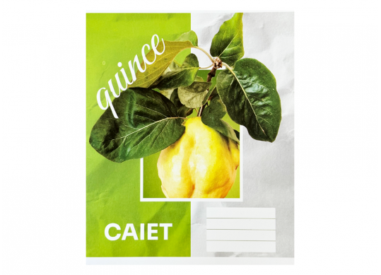 Caiet 36foi carton dictando C001329