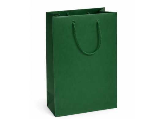 Punga hirtie laminata 22*10*29,Green SH55781