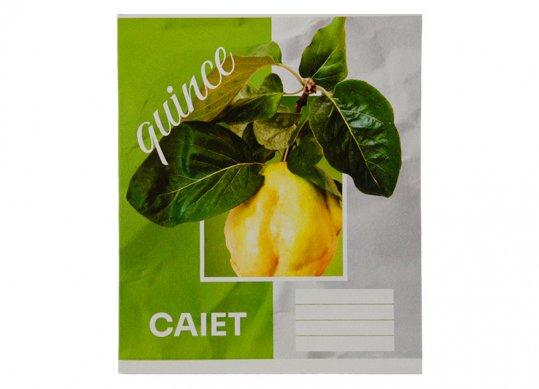 Caiet 36foi carton dictando C001329