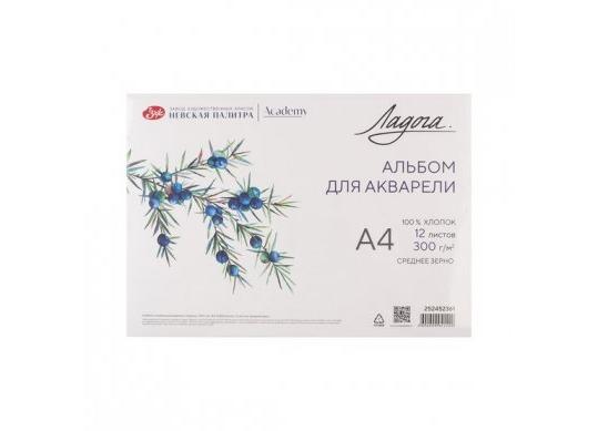 Album pentru acuarela Ladoga 300g A4, 12 foi, granulatie medie 252452361