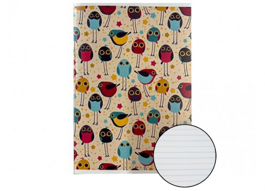 Caiet 24foi Euro/dictando (linie-punct) PR2407