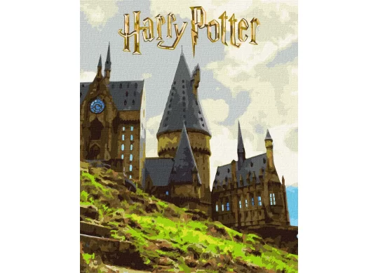 Tablou 40*50/cifre Harry Potter: Peisaj de la Hogwarts cu vopsele metalice KHO5232