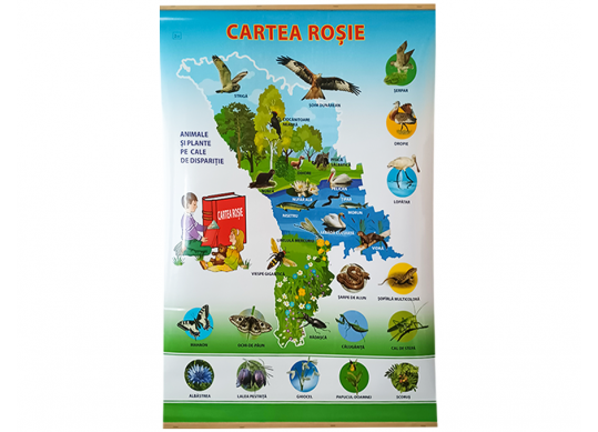 Plansa.Cartea Rosie a Republicii Moldova+Corpul uman 70x100cm EP6