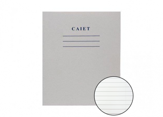 Caiet 48foi 1culoare dictanto C001428