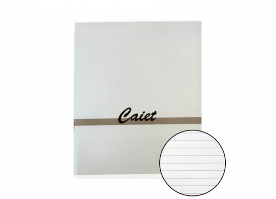Caiet 96foi st01 dictanto C000926