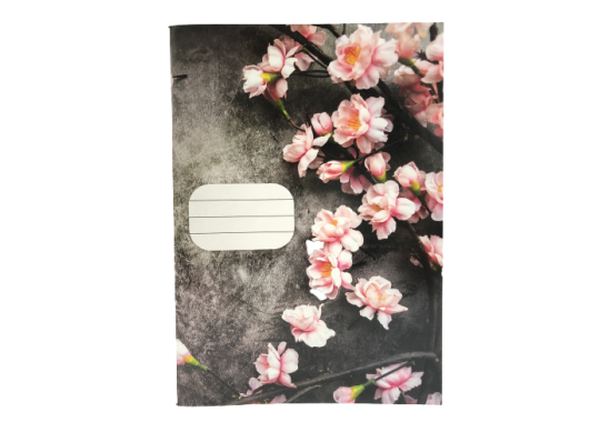 Caiet 48foi Euro dictanto C000605