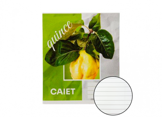 Caiet 36foi carton dictando C001329