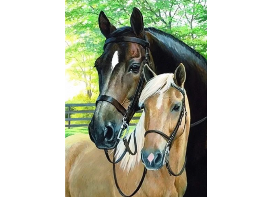 Tablou cu DIAMANTE 20x30 2 cai(fara sasiu) GLB30573