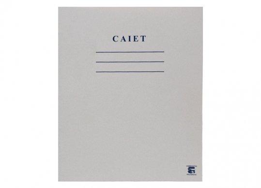 Caiet 48foi 1culoare dictanto C001428