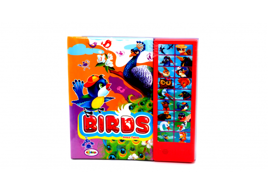 Carte cu sunete A4 Birds (P.D.) PD6714