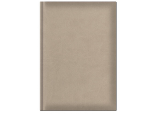 Agenda nedatata A5 de lux H.Ivoire 448H