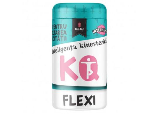 Joc Intelissimo. KQ Flexi 5+ CD3317