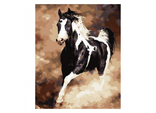 Tablou (40*50/cifre) La galop RT03116