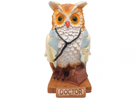 Suvenir plastic bufnita doctor 2410155