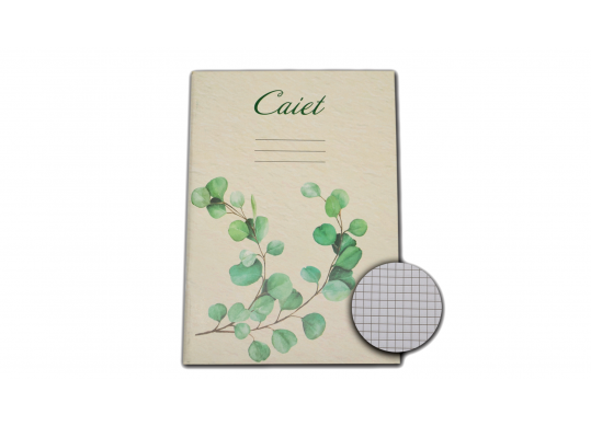 Caiet 48foi Euro mate C000599