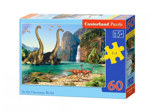 Puzzle 60 buc Castor B06434