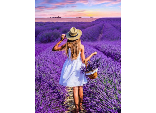 Tablou cu DIAMANTE 30x40 Femeie alba in lan de lavanda (fara sasiu) GLD63236