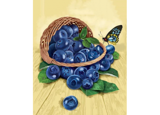 Tablou cu DIAMANTE 40x50 Cos cu afine) (fara sasiu) GLE77489