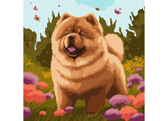 Tablou (40*40/cifre) Charming Chow Chow KHO6548