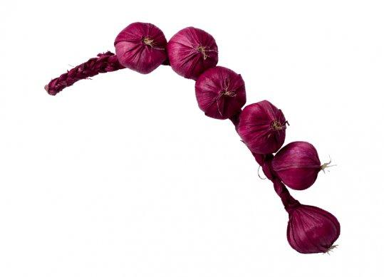 Leguma usturoi legat decorativ rosu 42cm N088-1L