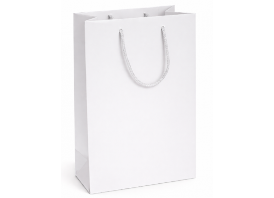 Punga hirtie laminata 22*10*29,White SH55323