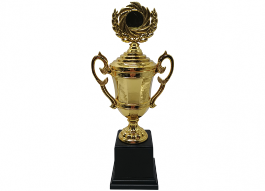 Cupa cu capac+medalie (plastic) 28.5cm 2431251