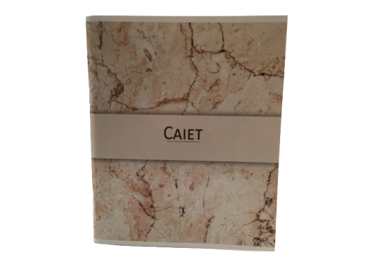 Caiet 96foi st01 mate C000230