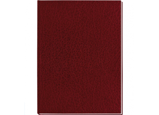 Registru A4 96foi (coperta tare/Style/mate)Bordo E21924-18