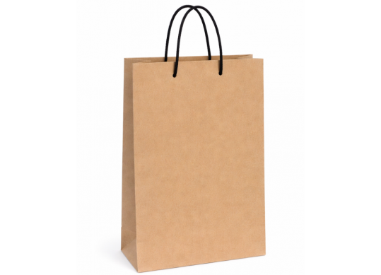 Punga hirtie cadou 25*11*35,manere funie SH56931