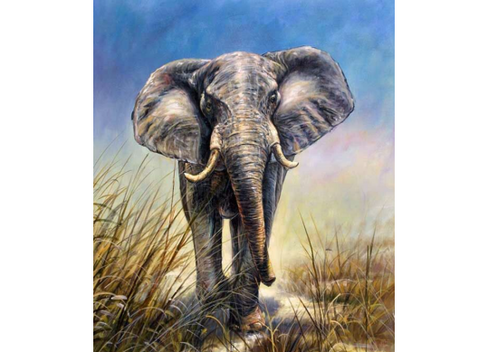 Tablou cu DIAMANTE 20x30 Elefant (fara sasiu) GLB30616