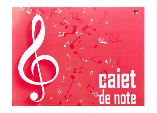 Caiet de note mediu 245*190mm C000667