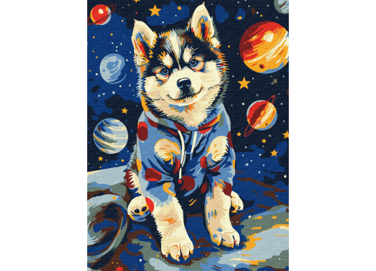 Tablou (30*40/cifre) Space Husky KHO6645