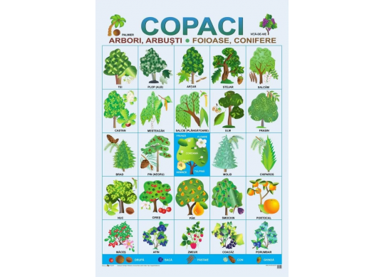 Plansa.Copaci+Flori 70x100cm EP18