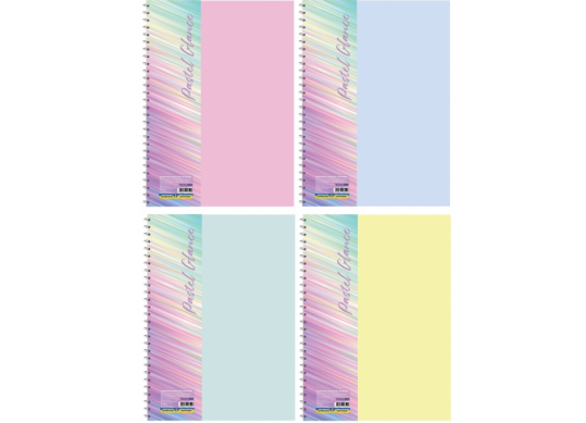 Carnet B5 60foi spira laterala-coperta plastic color E20314